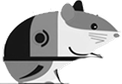 Hamster